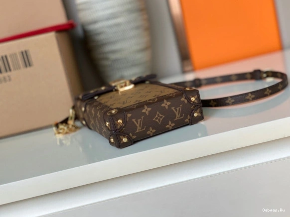 TRUNK LOUIS POCHETTE VERTICAL VUITTON 0509